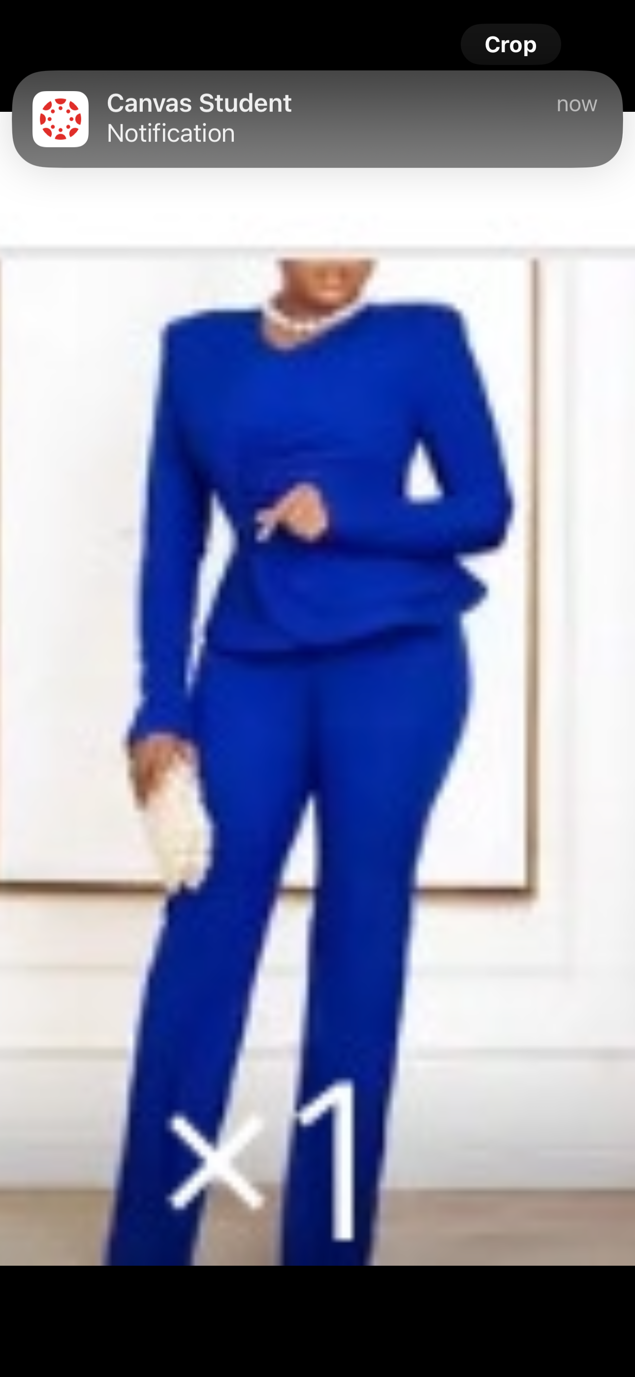 Blue Ruched Layered 2 Piece Pant Set